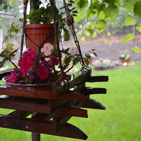 Дом отдыха Sunrise *