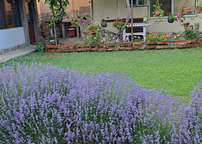 изгрев Шабла